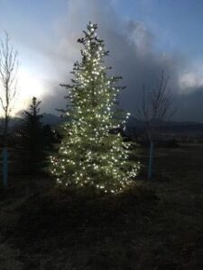 Seven Stones Tree of Remembrance