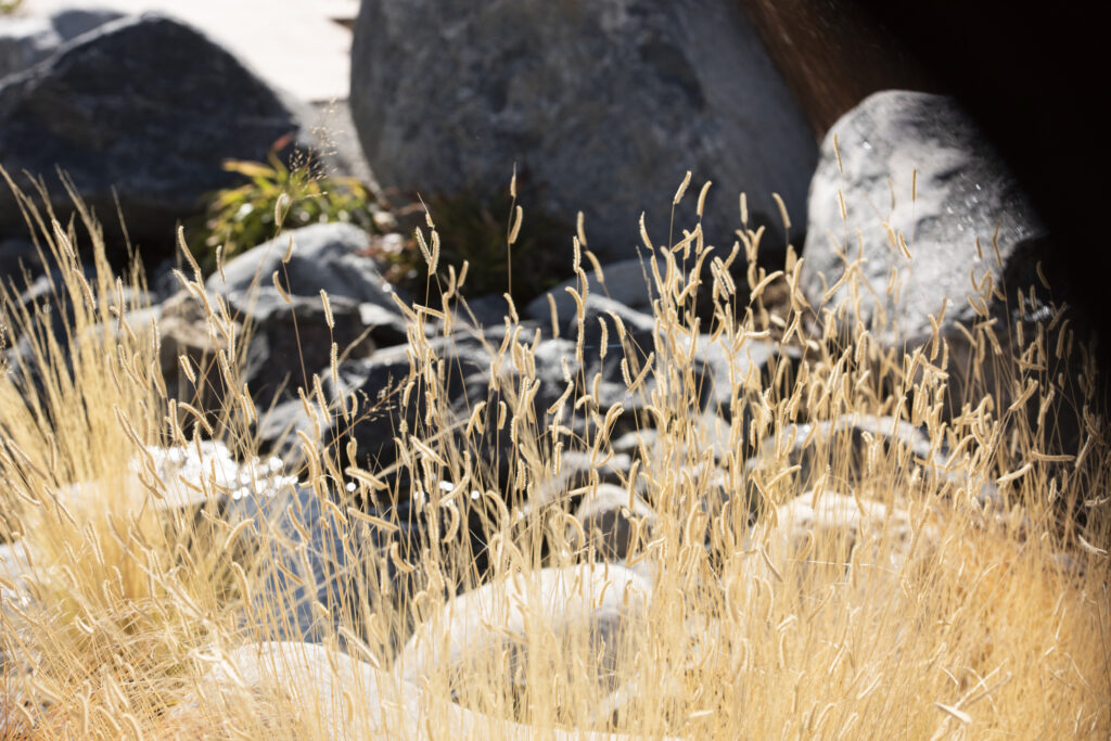 Seven Stones Botanical Cemetary