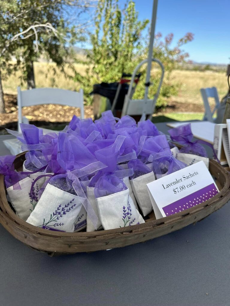 annual lavender festival