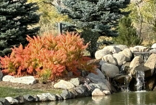 Fall Colors at Seven Stones