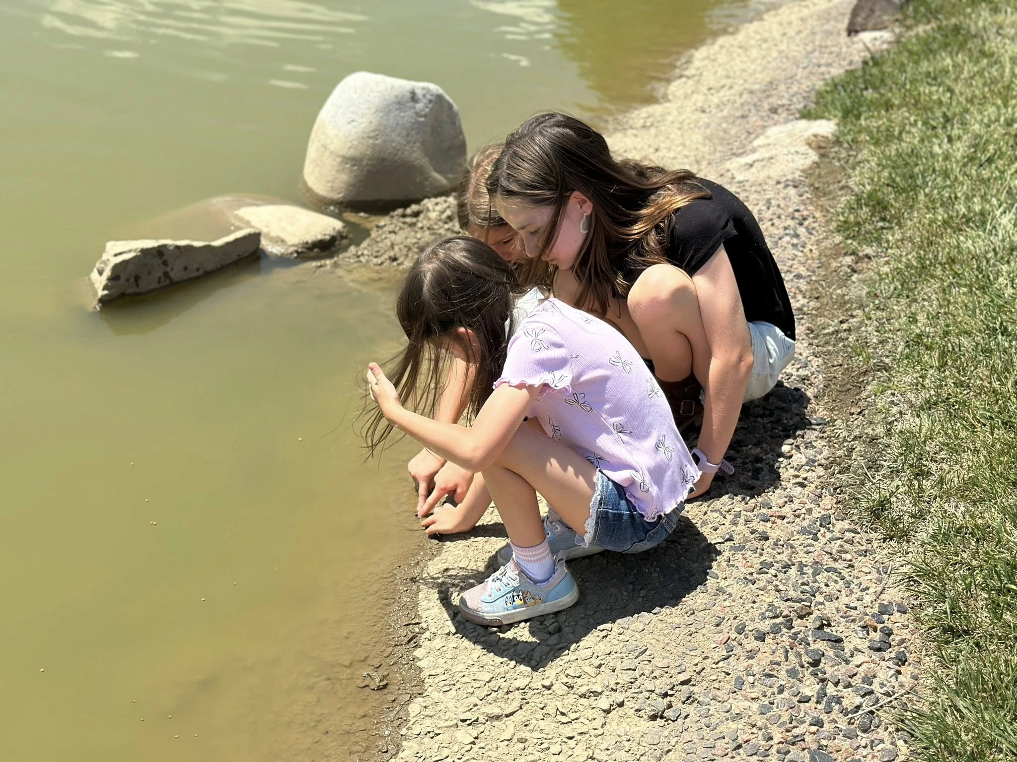 Kids Workshop – Bugs In The Trees and Frogs In The Pond