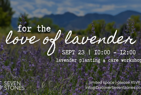 Love of Lavender Workshop
