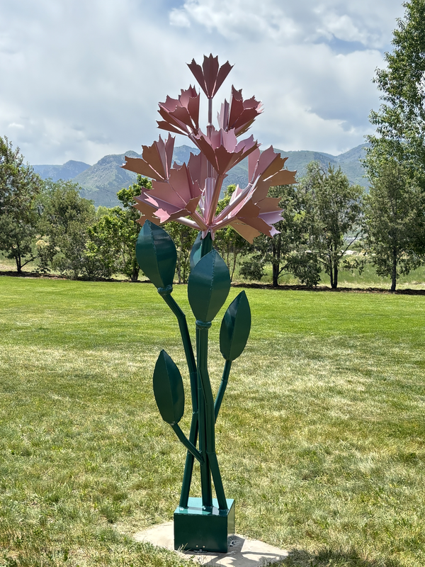 NATIVE GRASSES & WILDFLOWERS event at Seven Stones Chatfield Colorado