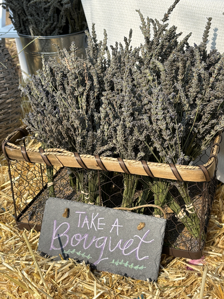 Bouquet of lavender at the annual Lavender Harvest and Festival 2025 at Seven Stones Botanic Gardens Colorado