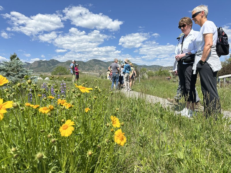 Native Grasses and Wildflowers event