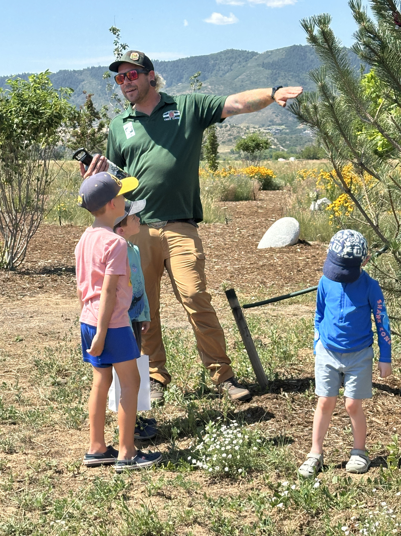 Bugs In The Trees and Frogs In The Ponds kids workshop at Seven Stones in Colorado