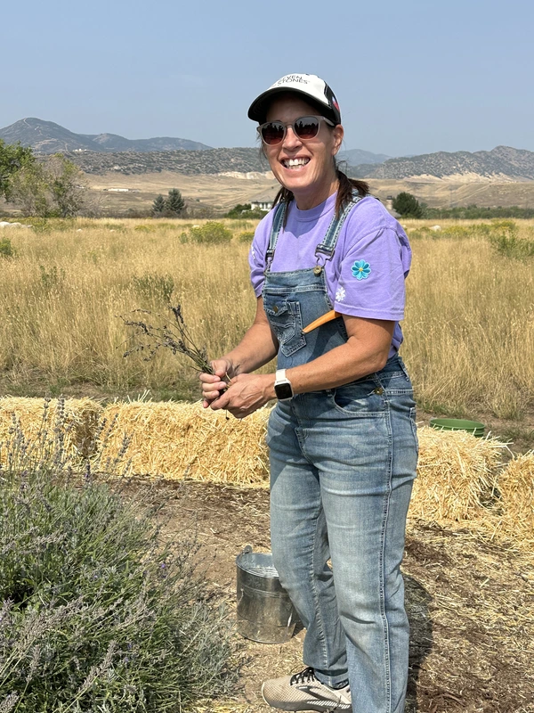 Lavender Harvest and Festival 2025