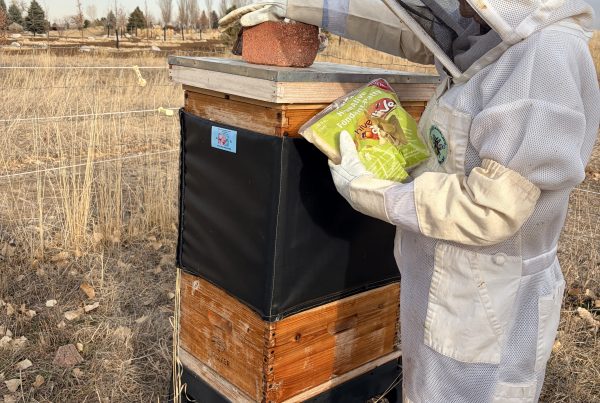 Mary Goss Beekeeper at Seven Stones Chatfield Botanical Gardens Cemetery in Colorado
