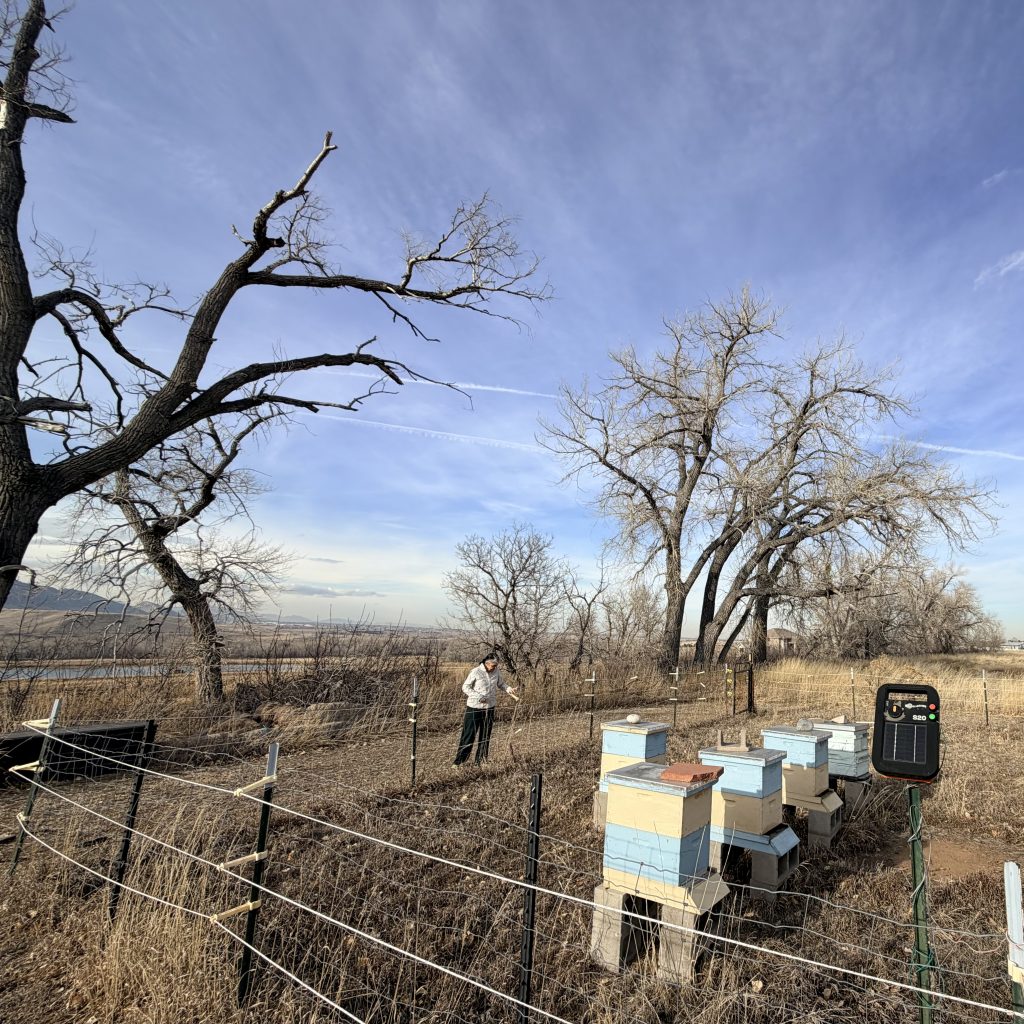 Mary Goss Beekeeping In The Winter Blog 2
