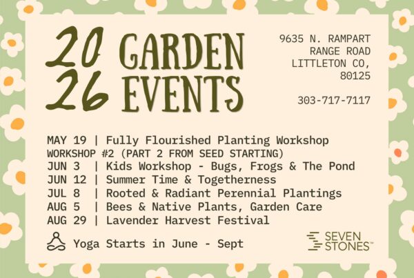 Garden Workshops, Time & Togetherness and Lavender Harvest