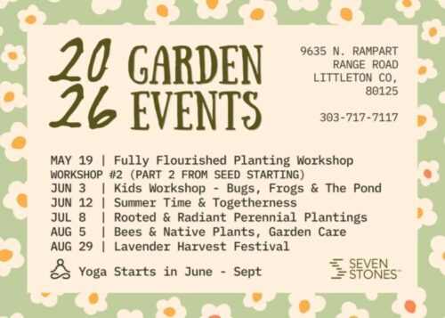 Garden Workshops, Time & Togetherness and Lavender Harvest